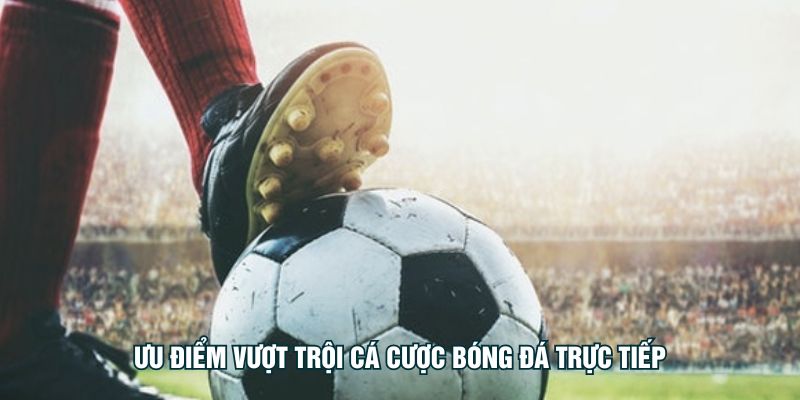 Ưu điểm vượt trội cá cược bóng đá trực tiếp